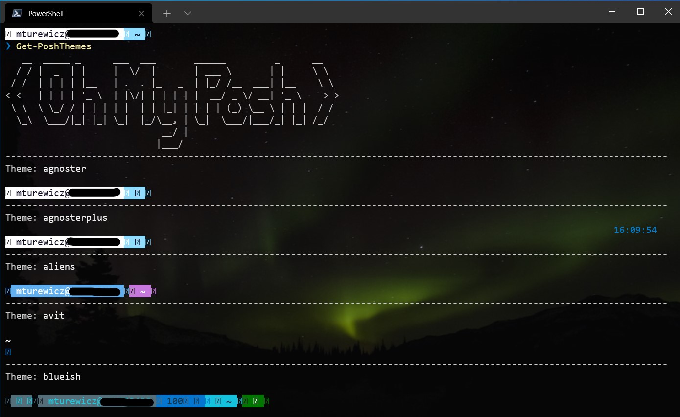 An image of Oh my Posh theme options